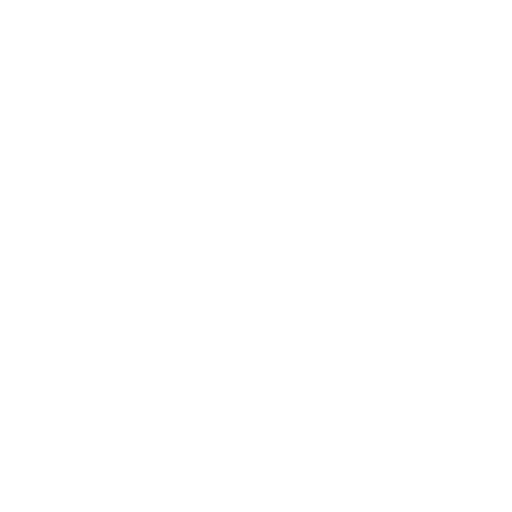 Professional Services
